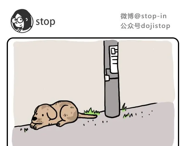 单身狗保护协会 第1页