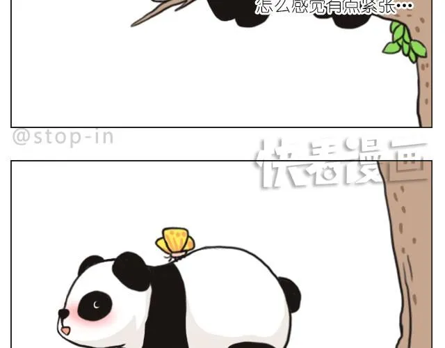 我觉得你很漂亮 第18页