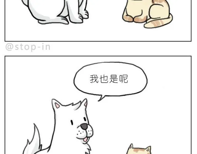 我最害怕的是再也找不到你了 第12页
