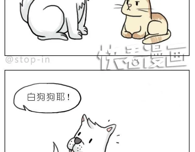 我最害怕的是再也找不到你了 第13页