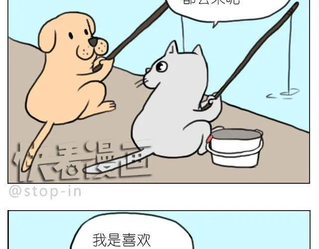 我喜欢陪伴你 第13页