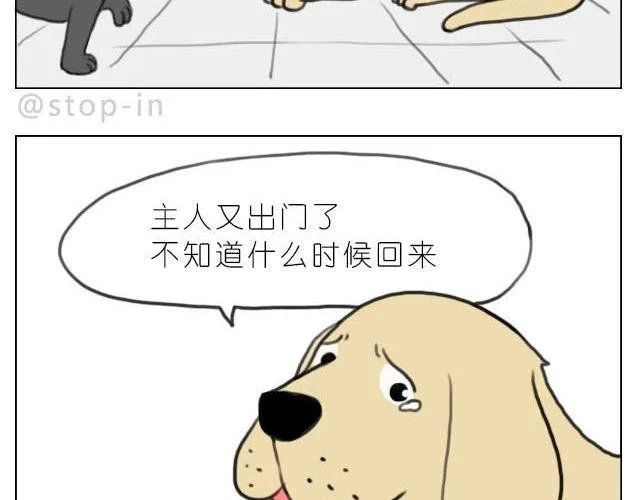 在他回来之前我陪你 第16页