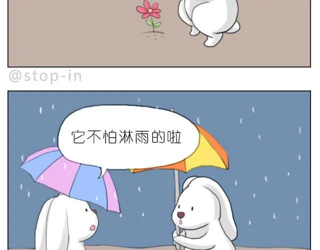怕在你雨天会孤单 第12页