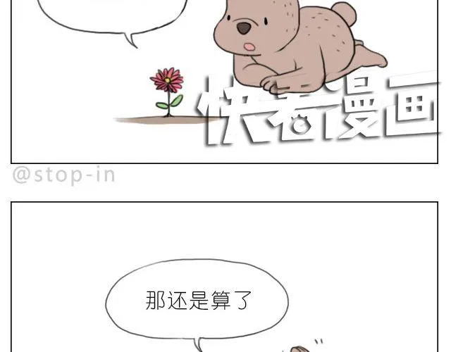 脸红的苹果 第19页