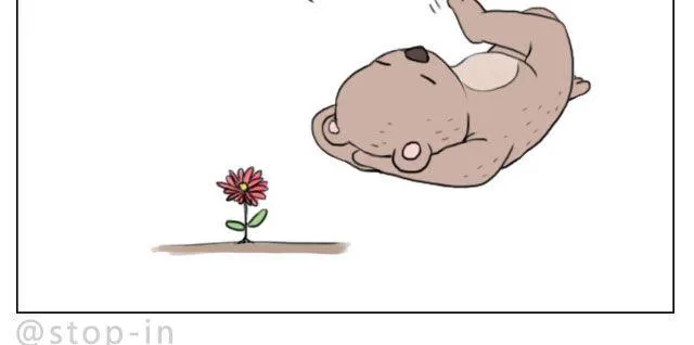 脸红的苹果 第20页