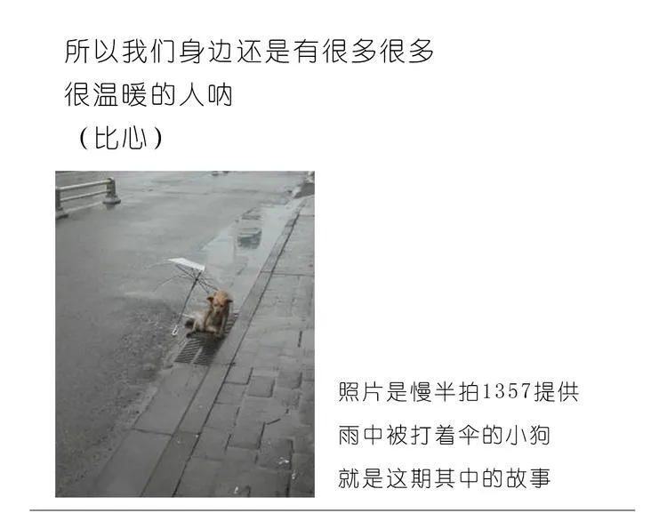 温柔的心 第24页