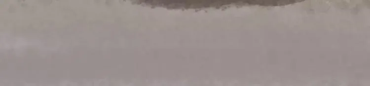 家人的温情 第23页