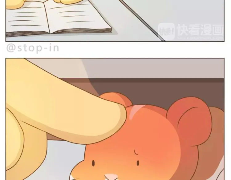 第178话 小笨蛋，我爱你 第17页