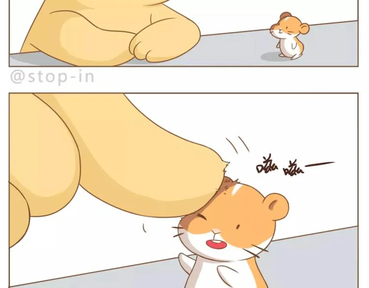 第179话 遇见你是我的幸运 第17页