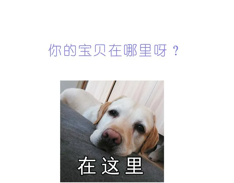 第220话 你的宝贝在这里 第24页