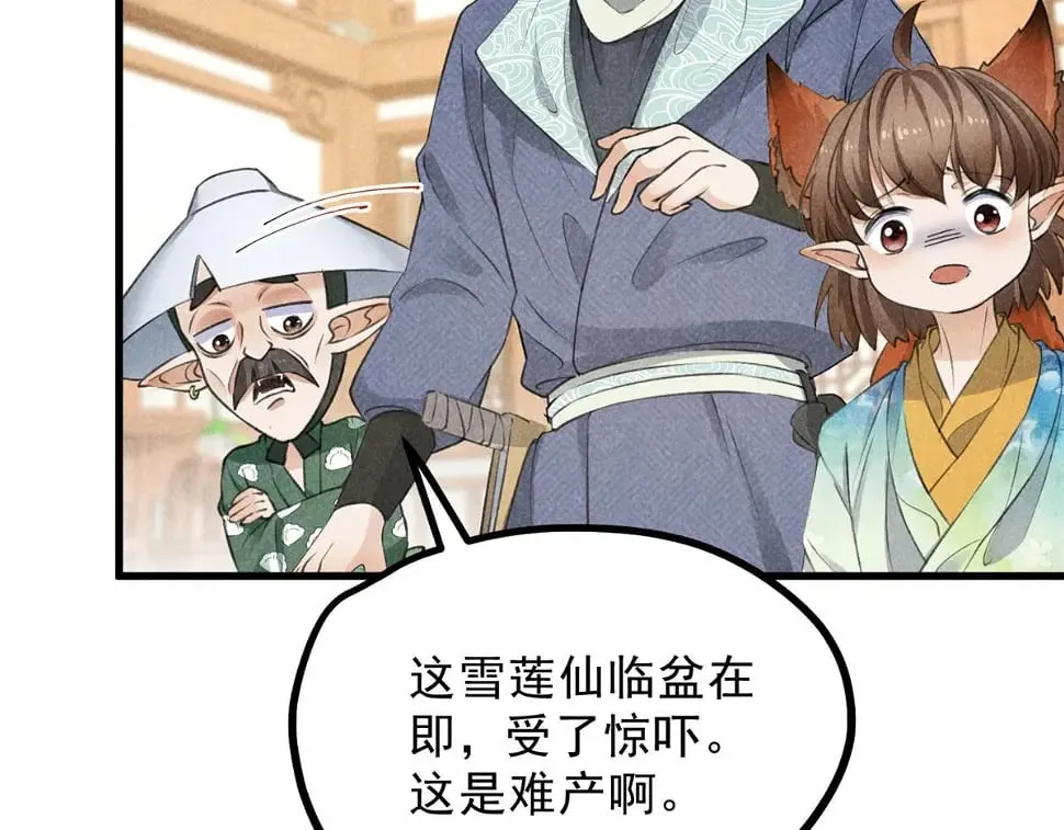 027 参莲子 第45页