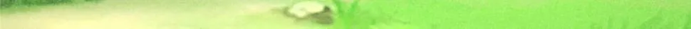 037 师叔？！ 第115页