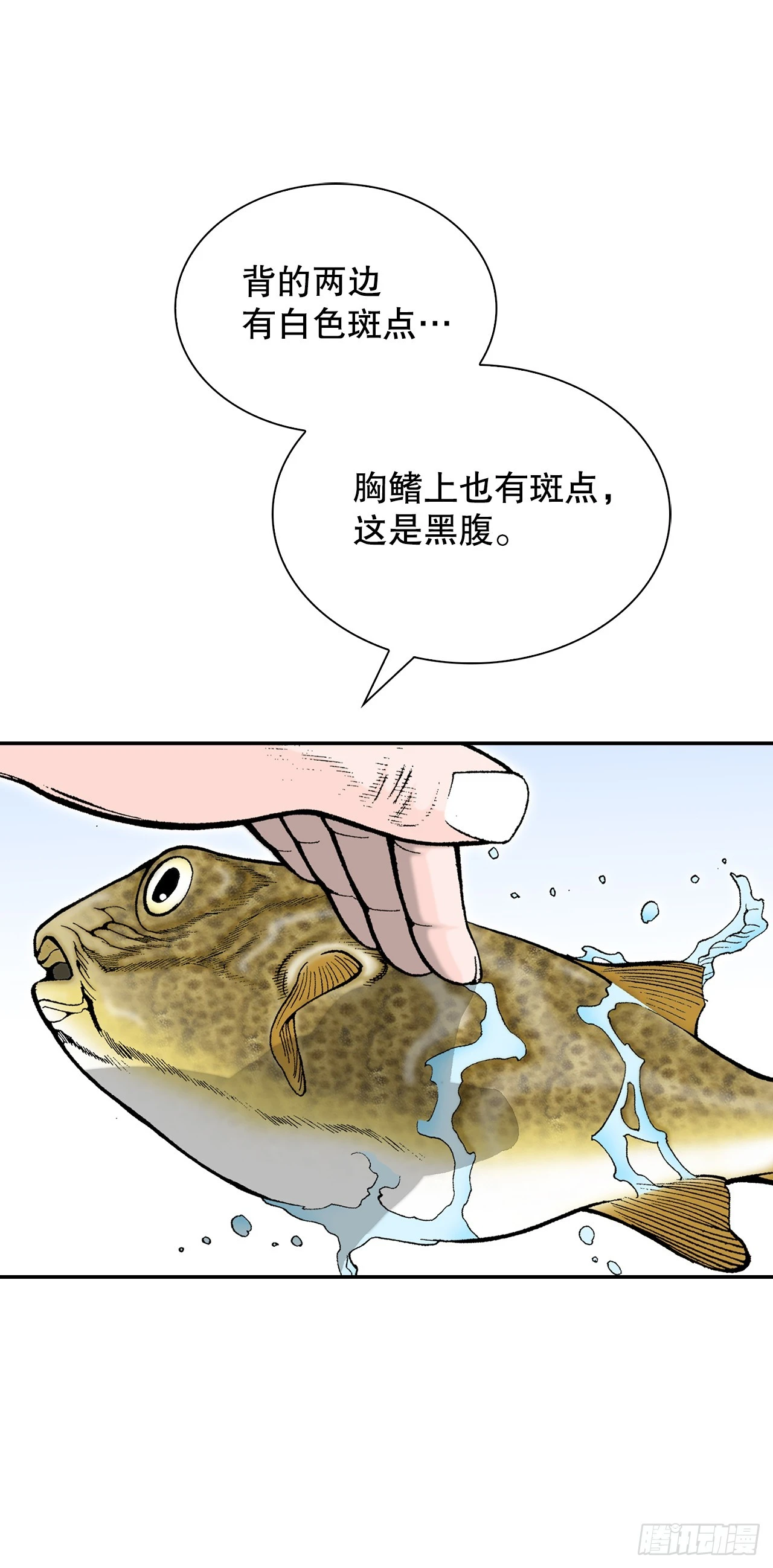 90.河豚 第47页