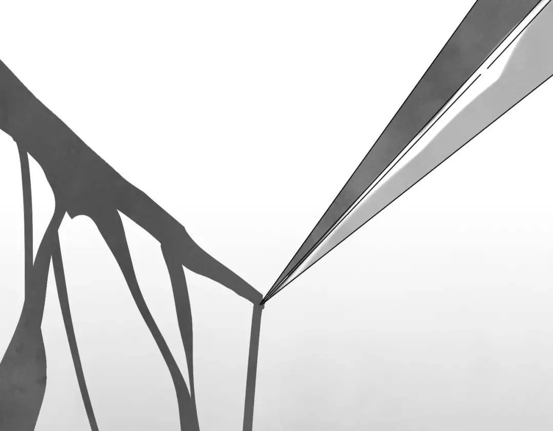 第36话 西域邪术 第56页
