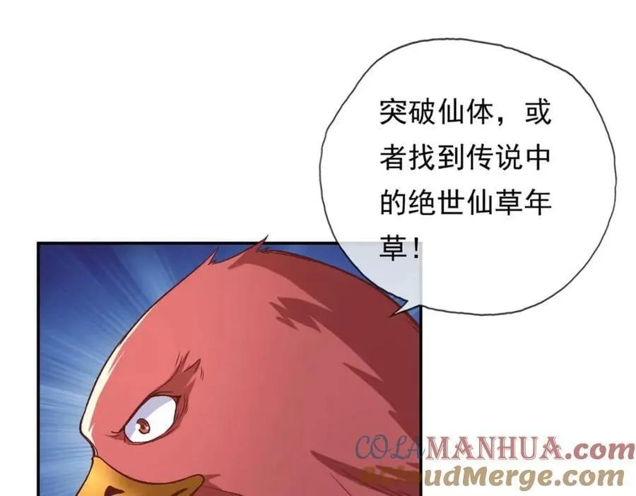 第72话 油尽灯枯 第31页