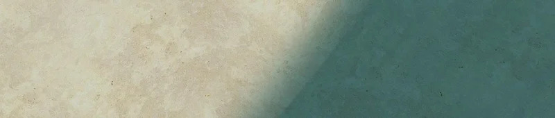 第313话 出手瞬间，神魂俱灭 第39页