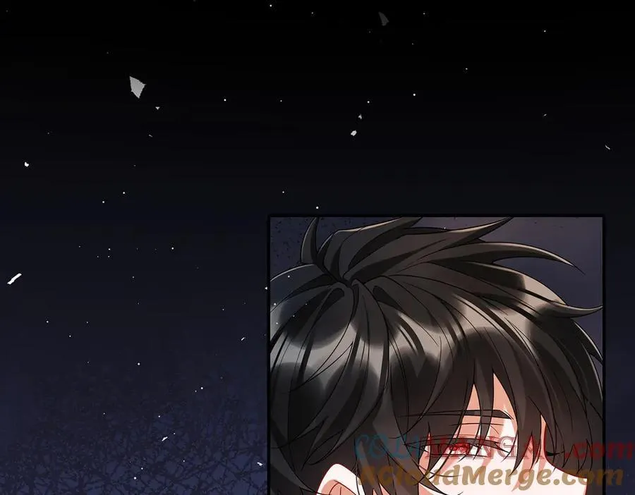 第79话 电视剧都是这么演的 第13页