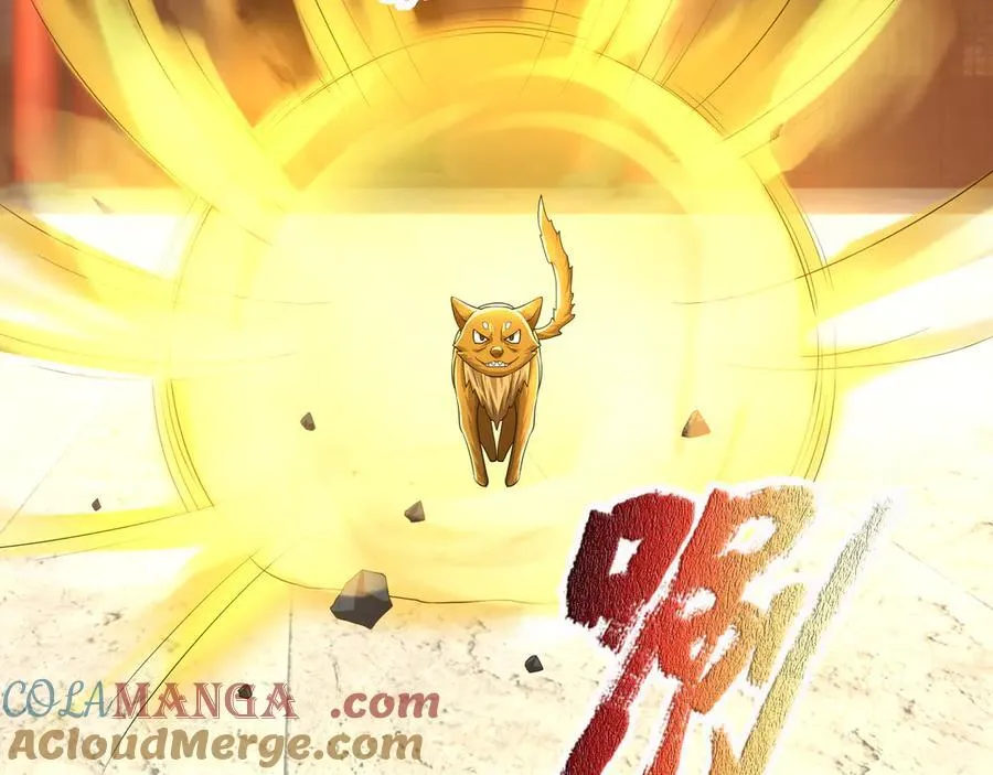 第184话 一门的妖孽！ 第105页