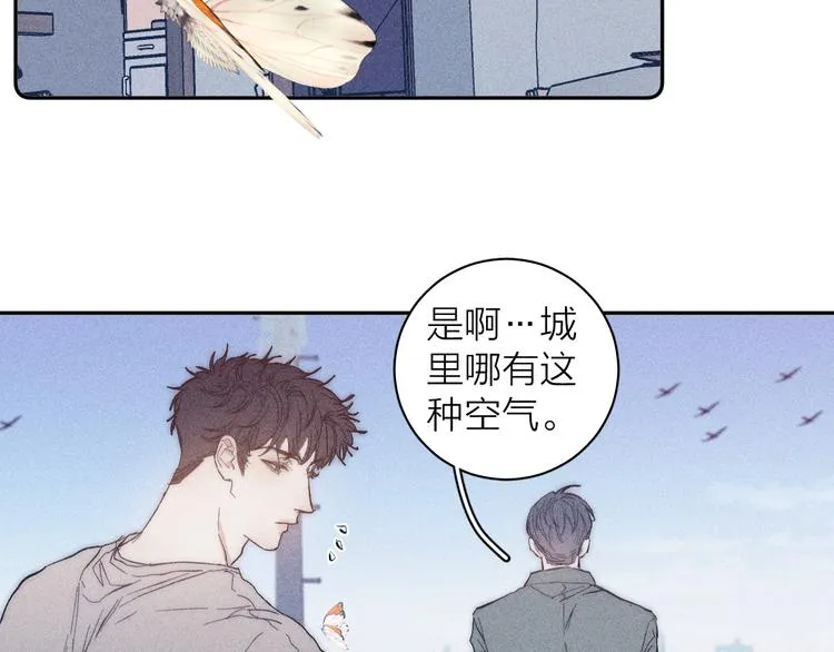 第13话 蝴蝶 第37页