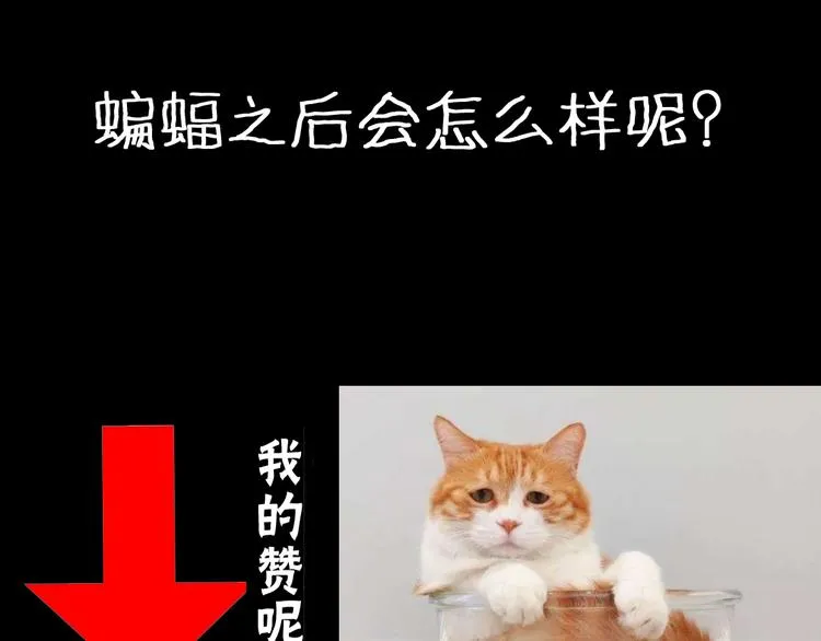 第74话 重生蝙蝠（一） 第89页