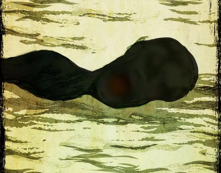 钓美人渔 第62页