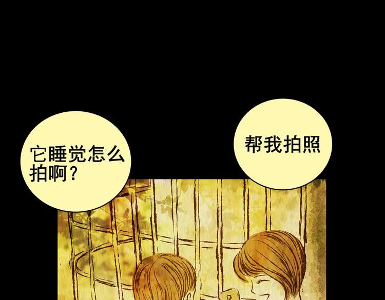 环形恐惧（完） 第37页
