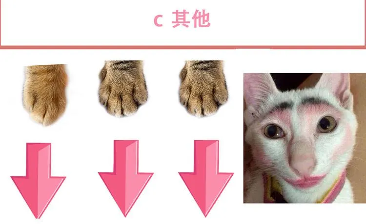 环形恐惧（完） 第75页