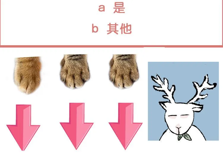 惊悚心意（一） 第92页