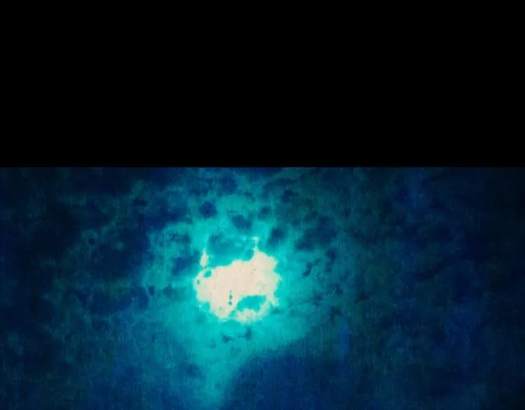 章鱼怪诞（六） 第3页