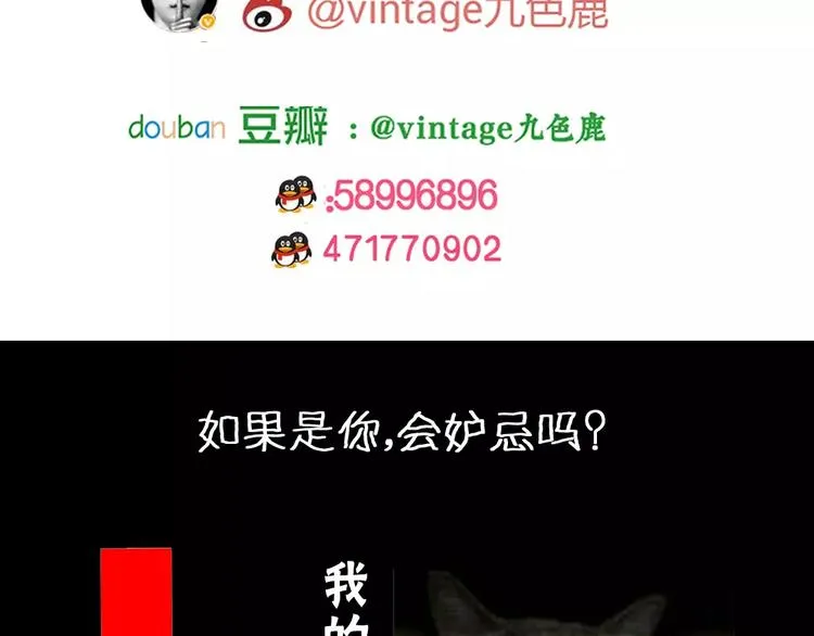 第41话 秘密玩偶 第151页
