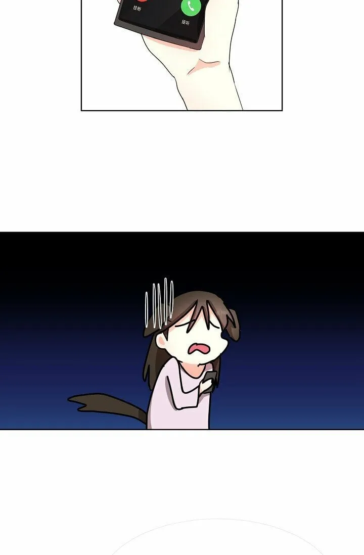 20 这次会不一样 第44页