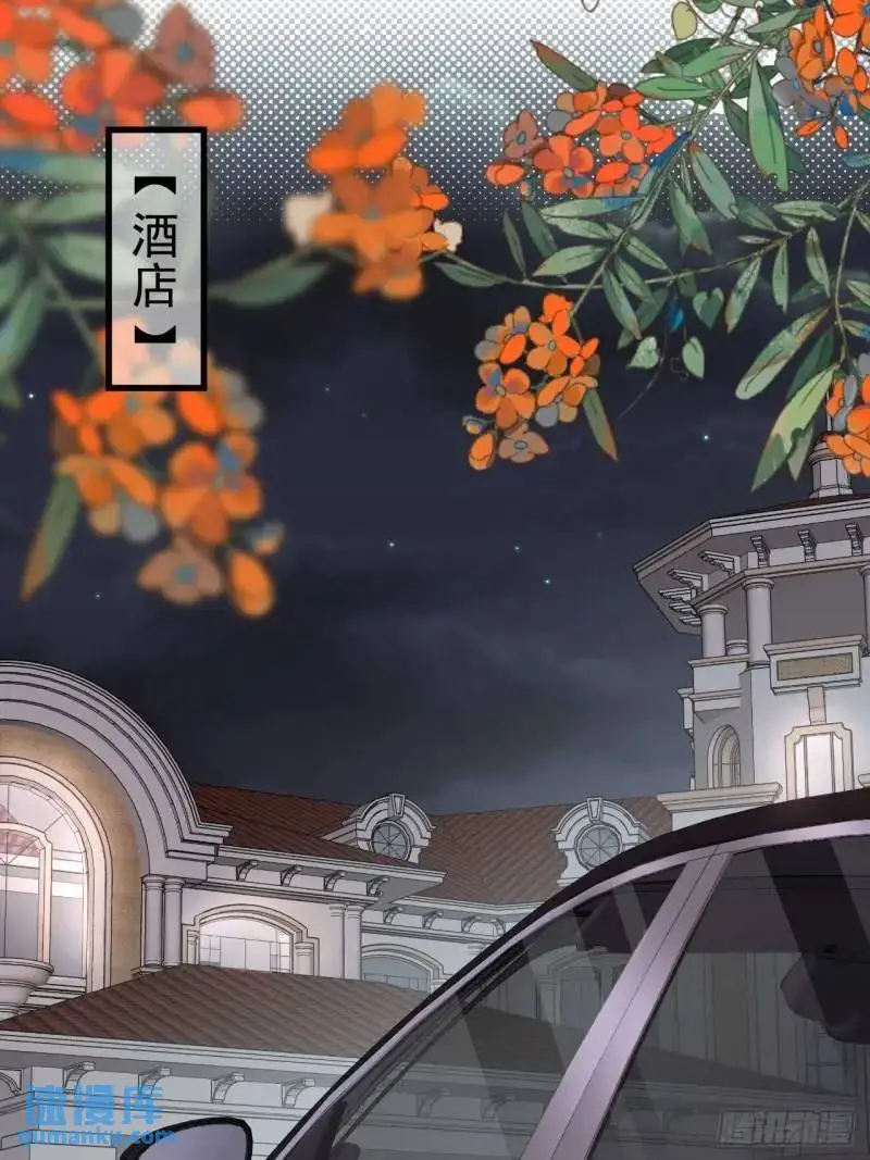 换我的人去查。 第29页