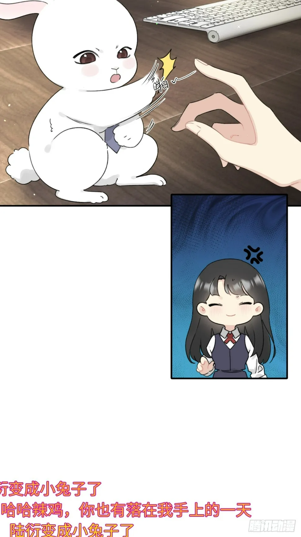 先把兔子带回家 第10页