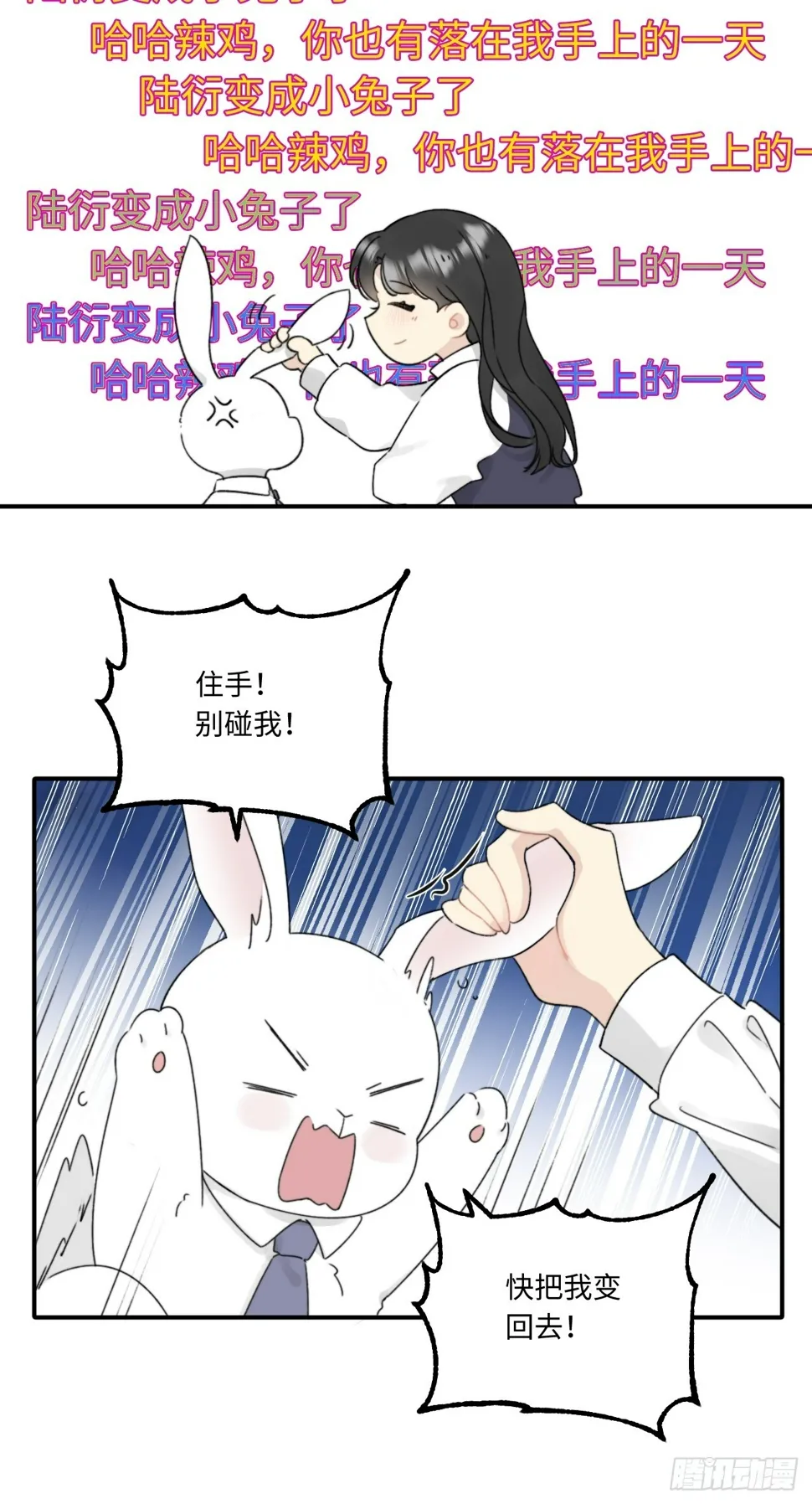 先把兔子带回家 第11页