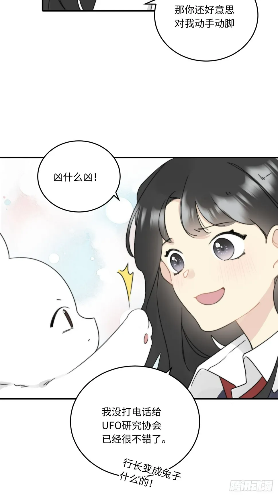 先把兔子带回家 第13页