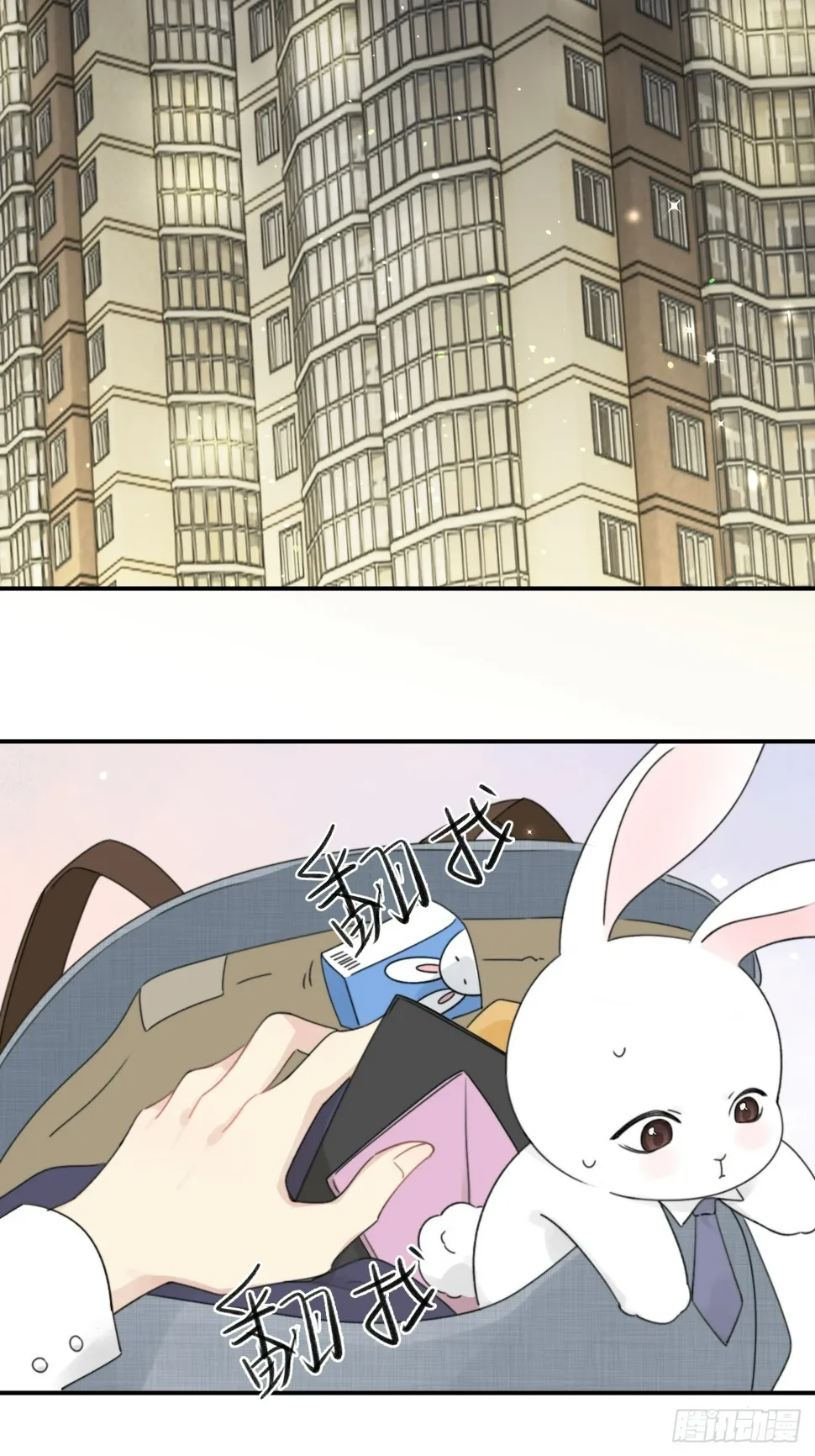 先把兔子带回家 第26页