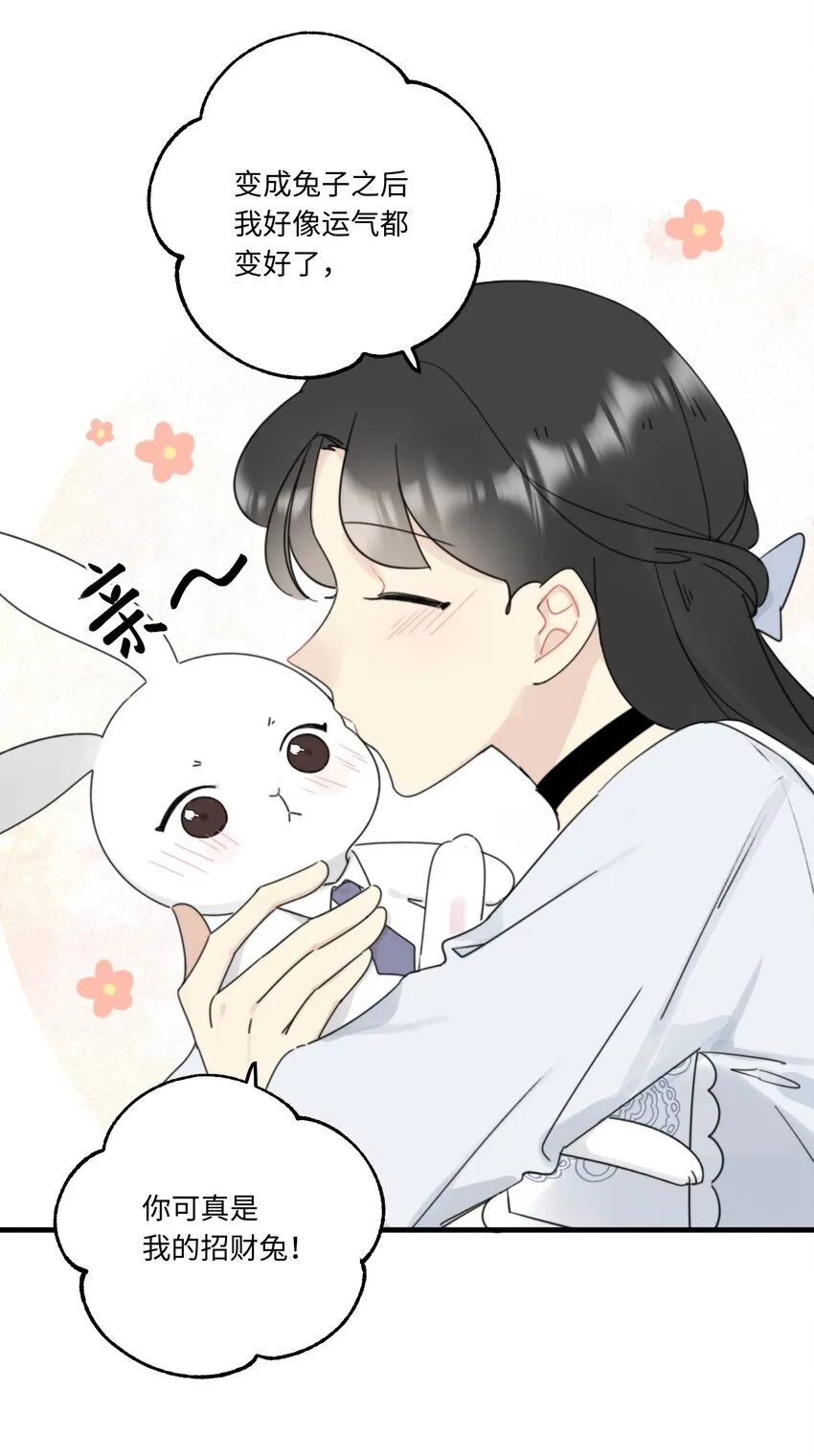 009 常思的招财兔 第4页