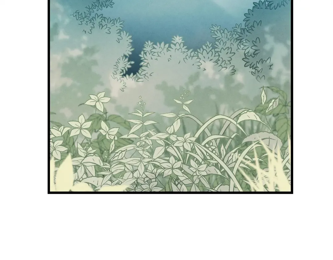 第5话 武功绝学 第15页