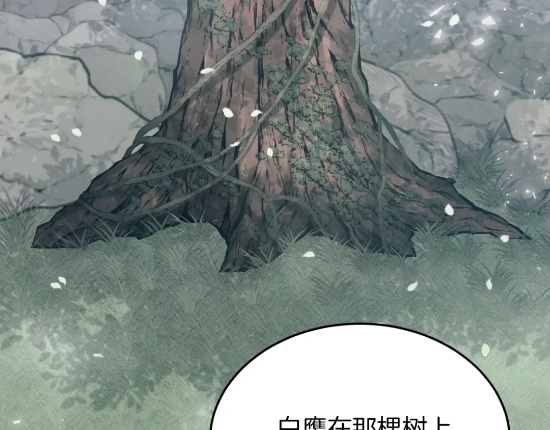 第29话 白鹰与白蛟 第78页
