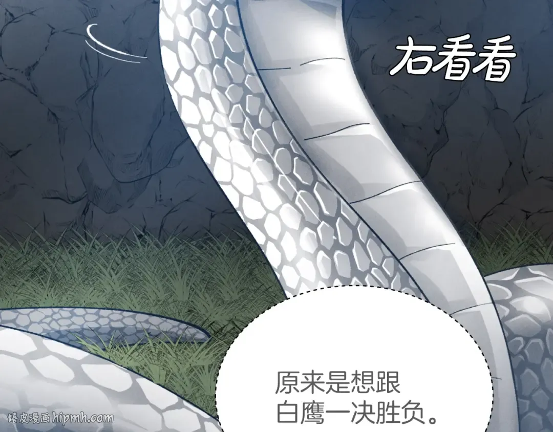 第29话 白鹰与白蛟 第112页