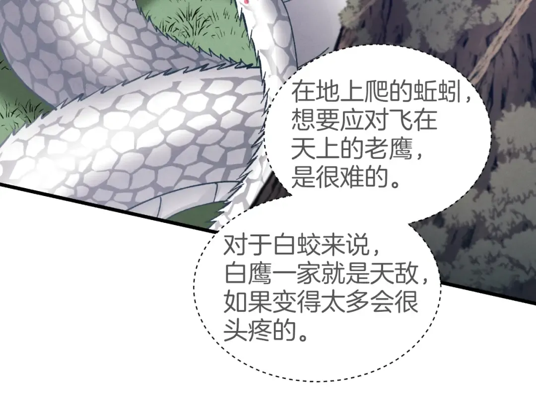 第29话 白鹰与白蛟 第131页