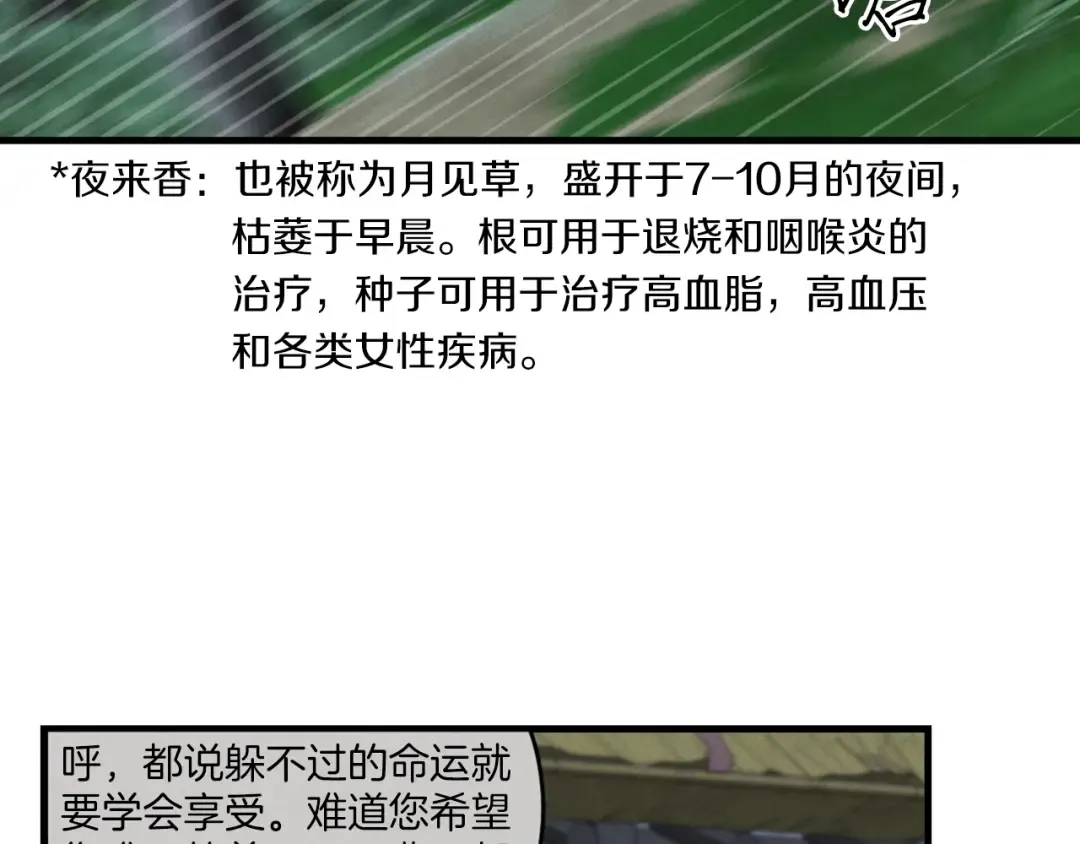 第50话 我的徒弟失败了 第147页