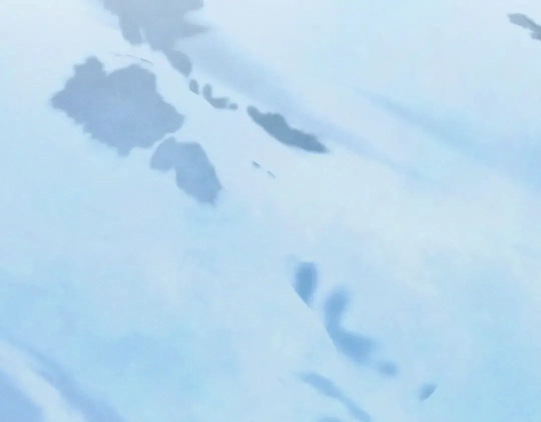 第138话 认输 第12页