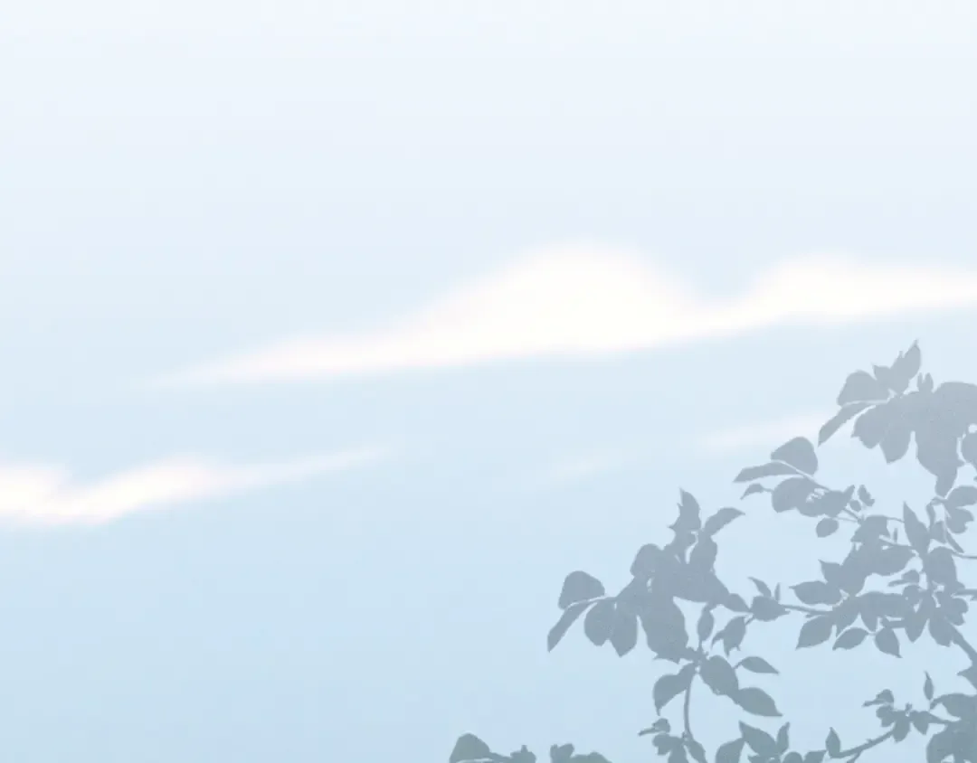 第149话 人肉炸弹 第241页