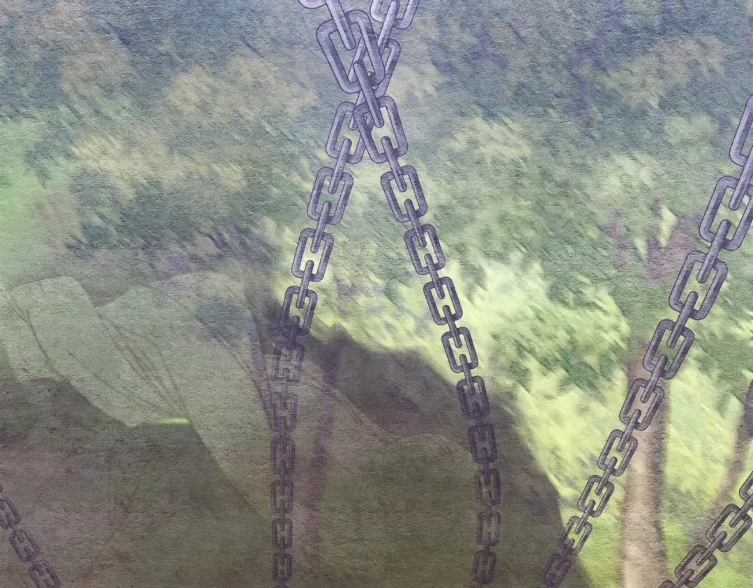 第164话 真正的自由 第230页