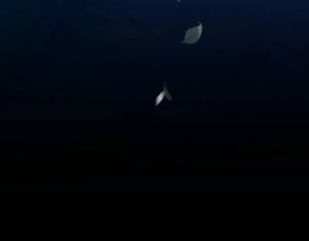第178话 天劫 第318页