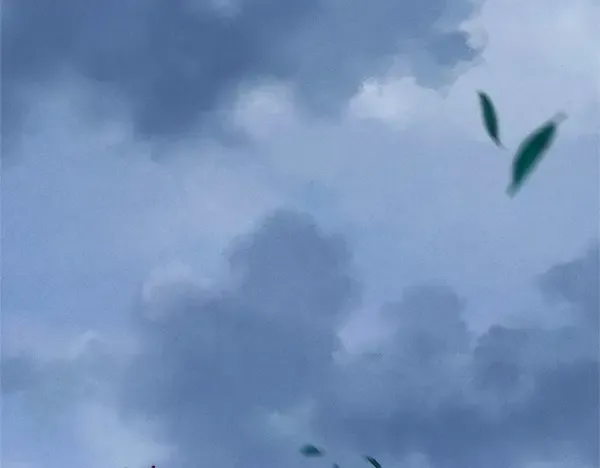 第184话 情况反转 第206页