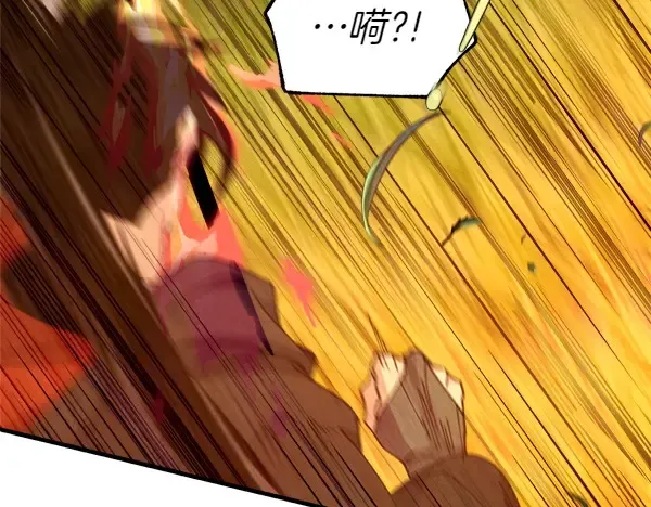 第192话 只能用这种方法 第213页