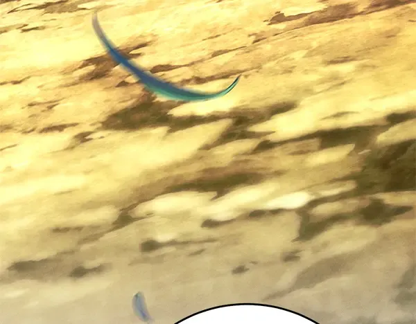 第206话 雇佣 第261页