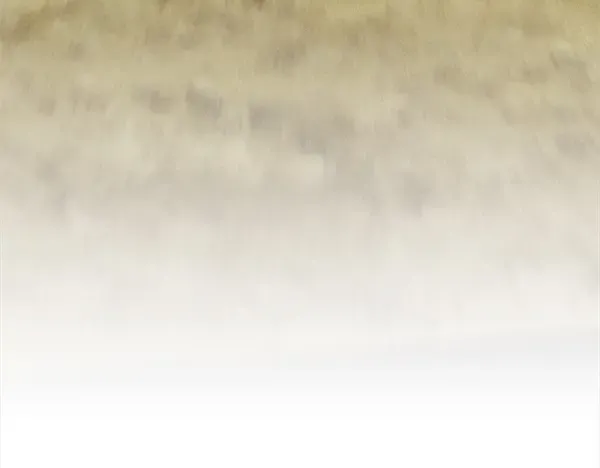 第211话 过路费 第67页